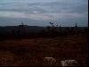 2003_0314_173011AA.jpg